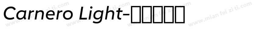 Carnero Light字体转换